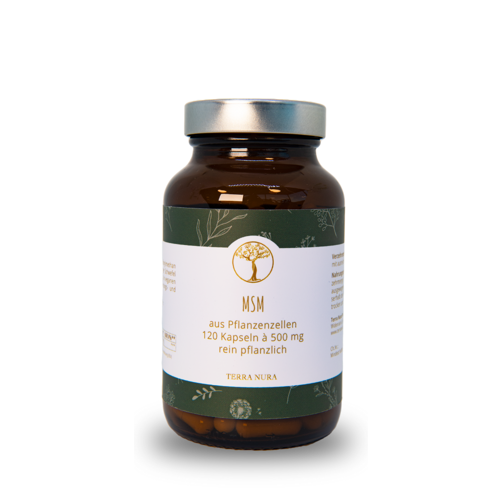MSM Kapseln
