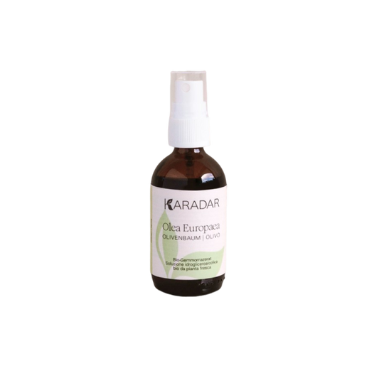Gemmomazerat  Olivenbaum - Olea europea bio