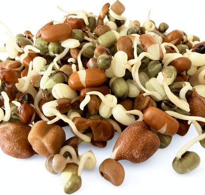 GSUNT Sprouted Protein Mix