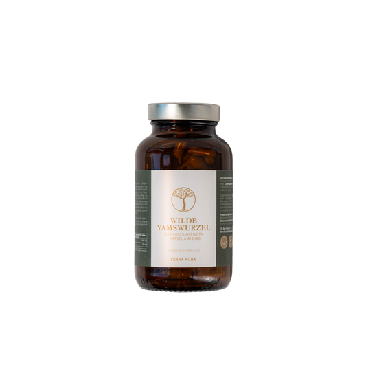 Wilde Yamswurzel – Die Kraft der Dioscorea opposita